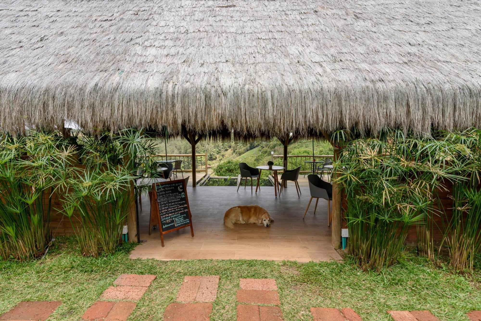 Levit Glamping - Hotel Guatape Penol (Adults Only) Exterior photo